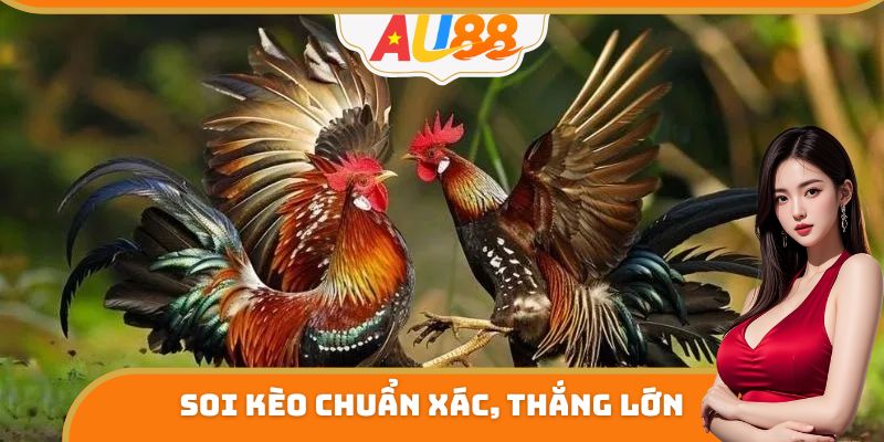 Soi kèo chuẩn xác, thắng lớn